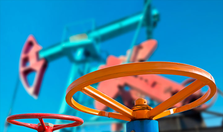 Biomicrogens for water purification from oils